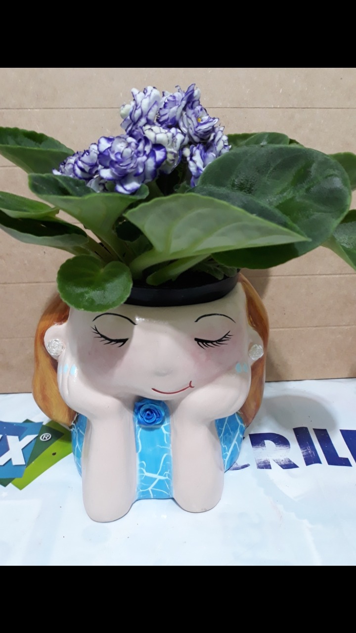 Gif image