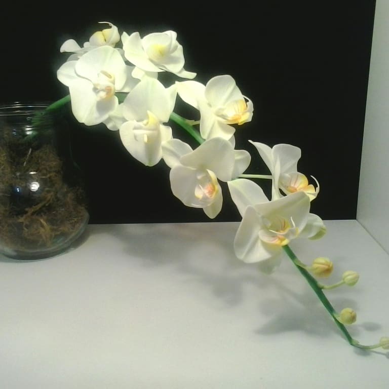 Gif image