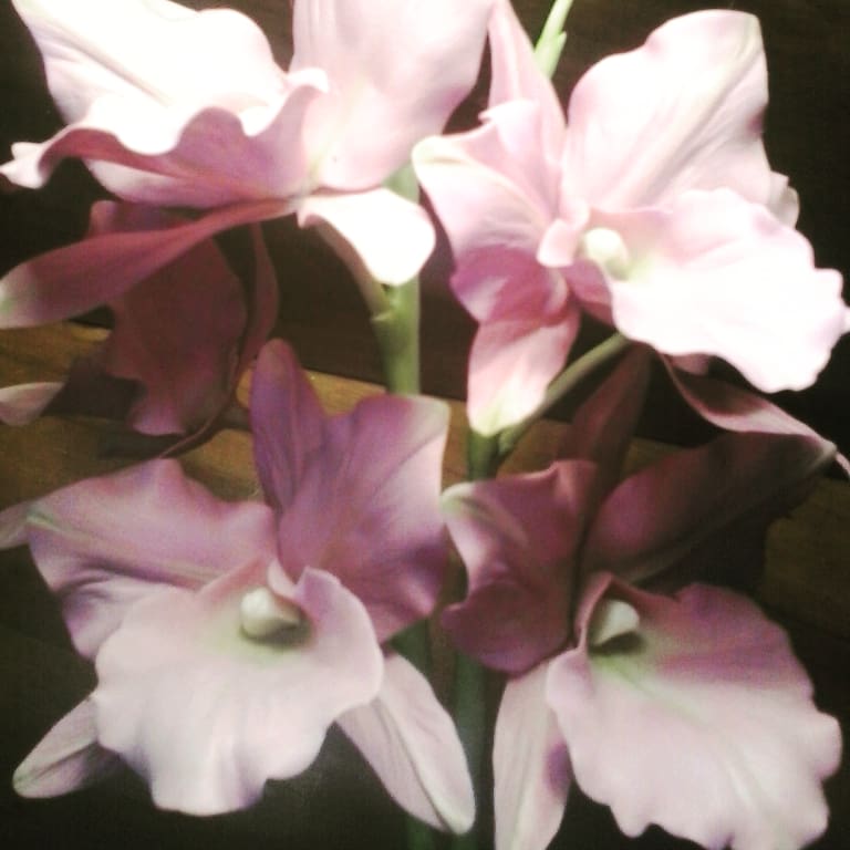 Gif image