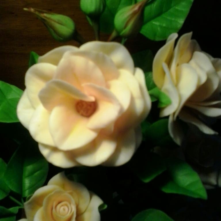 Gif image