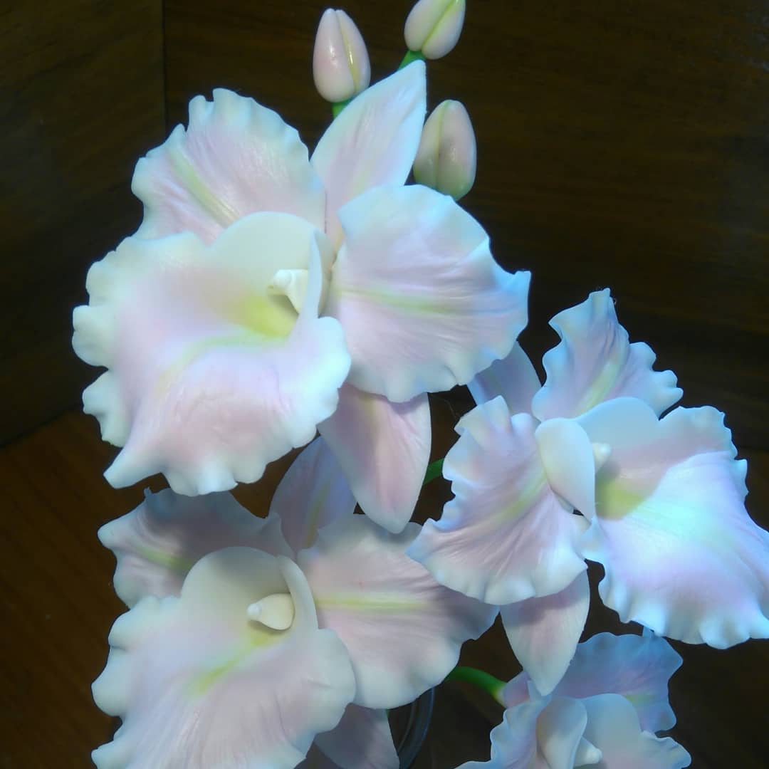 Gif image