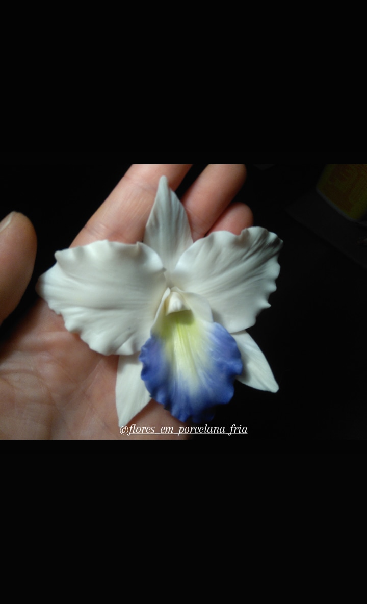 Gif image