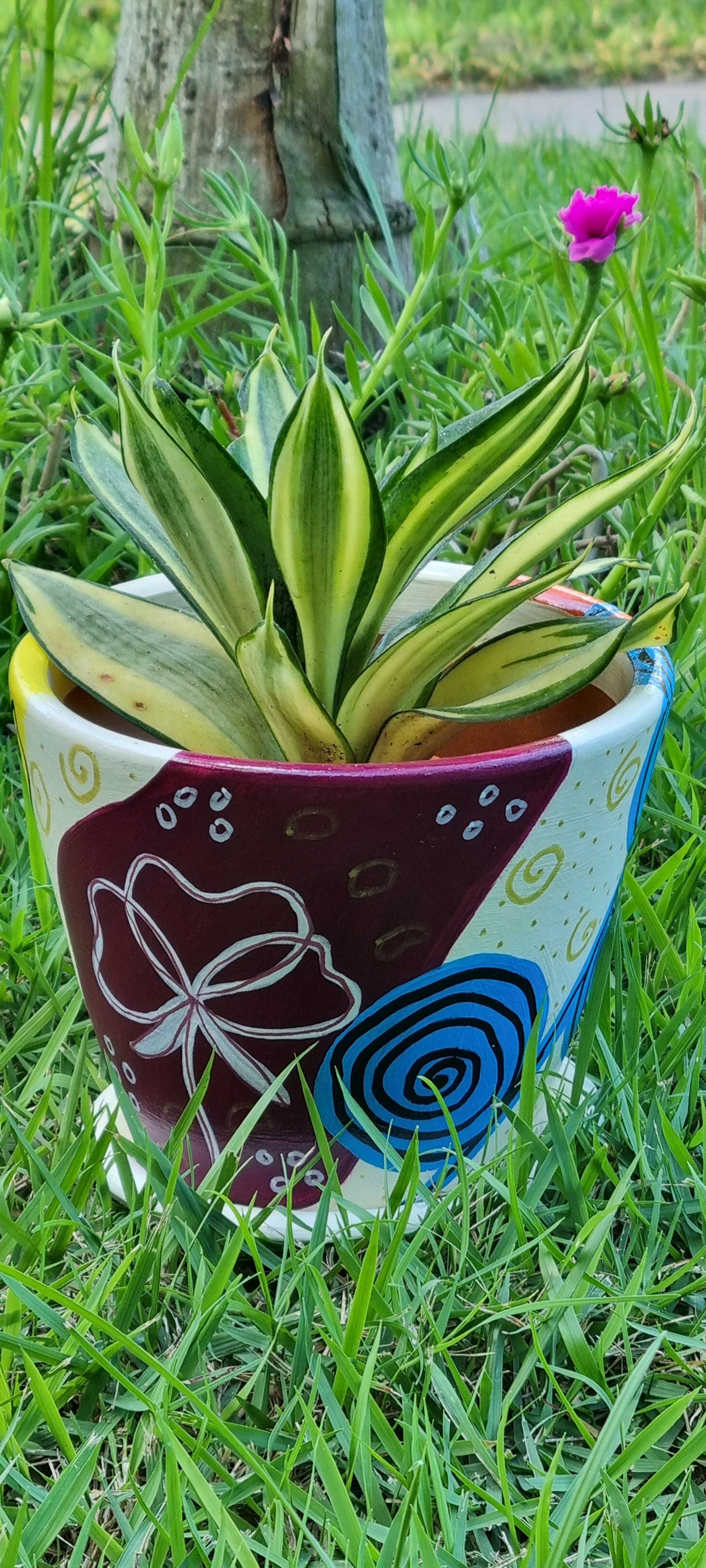 Gif image
