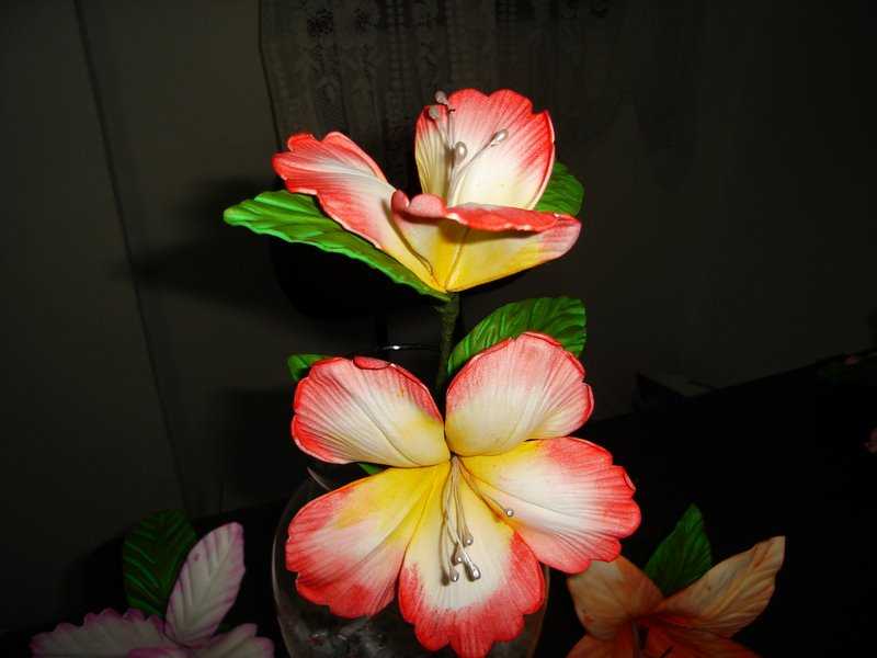 Gif image