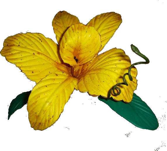 Gif image