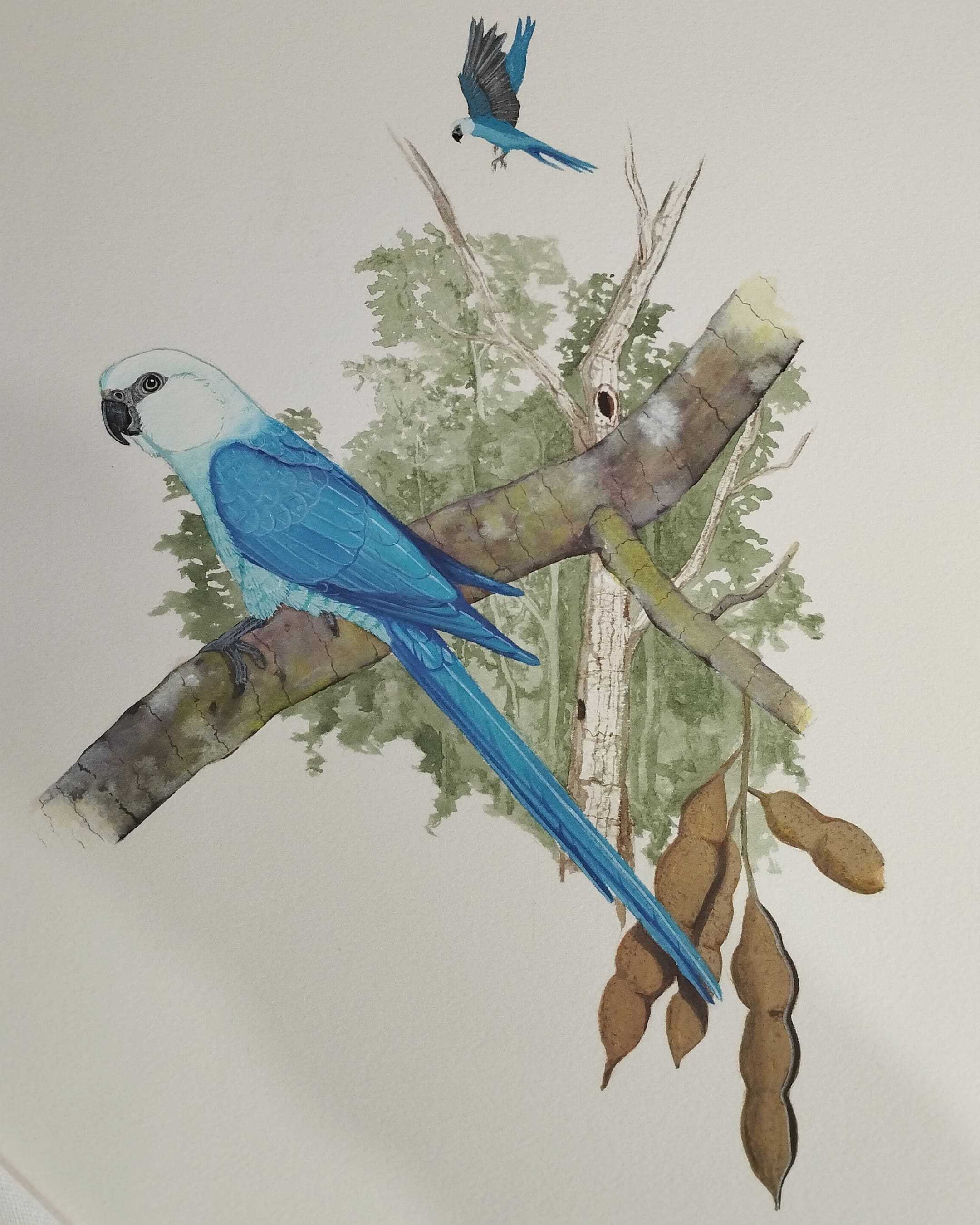 Gif image