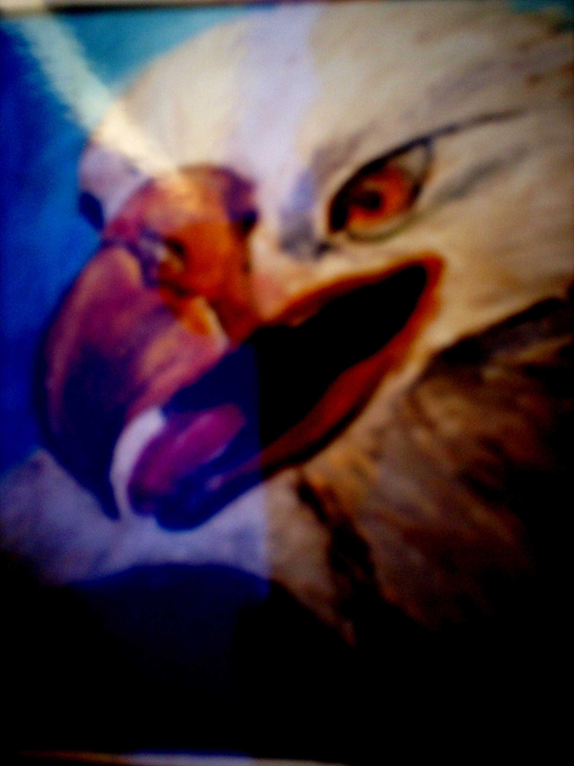 Gif image
