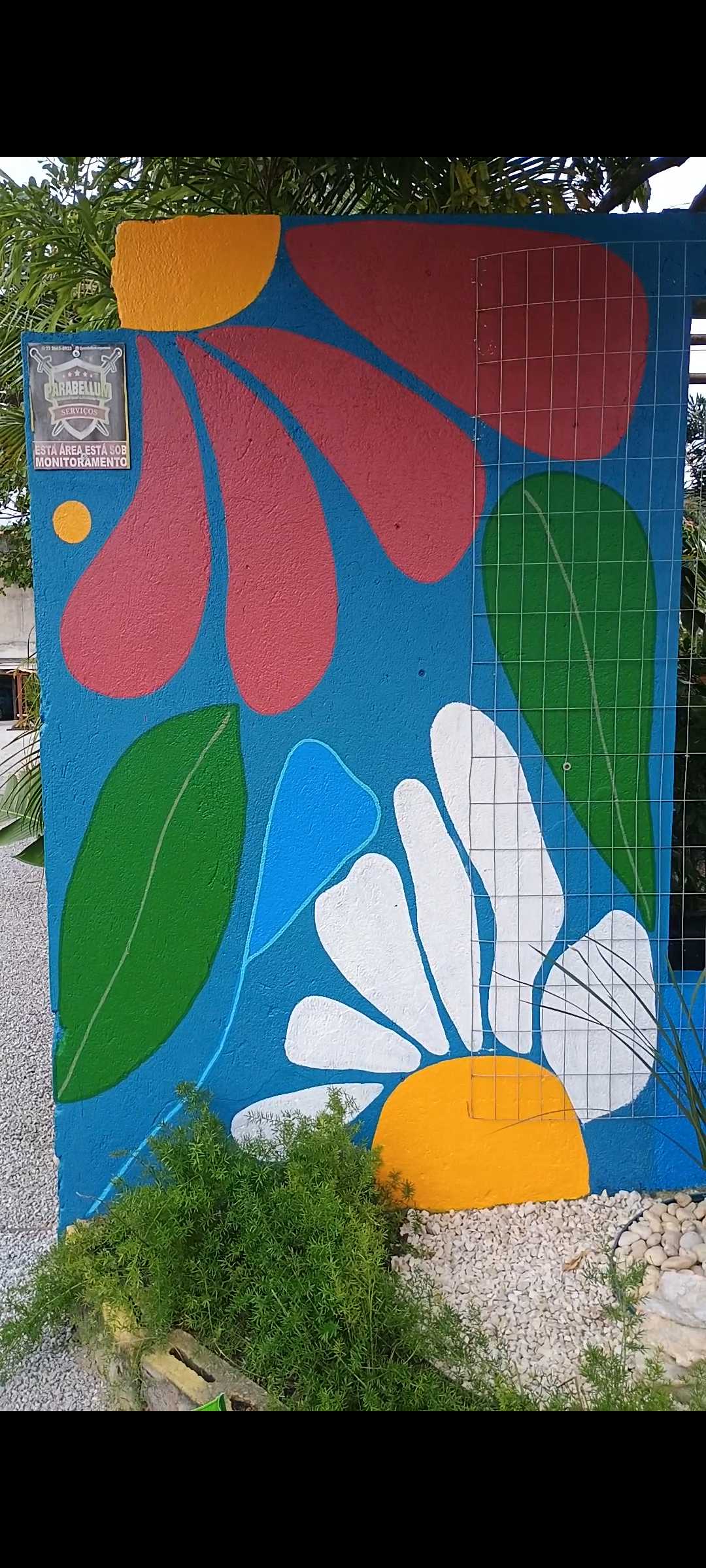 Gif image
